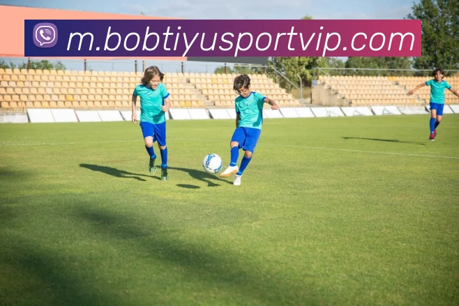 BOB体育APP 封面图